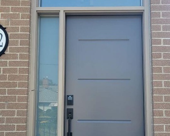 Grey steel Vog door with Beige frame sidelite and transom.jpg