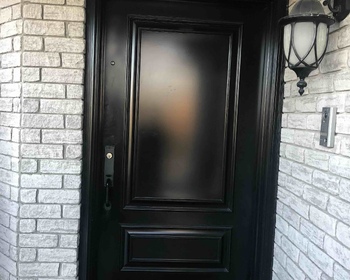 42 inches steel door with executive panels.jpg