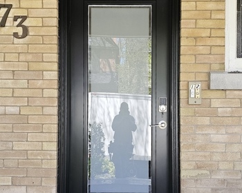 Black entry door with full size Edge glass.jpg