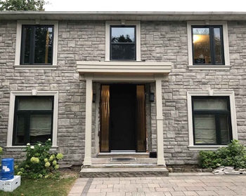 Modern Contemporary Style Black Windows Toronto