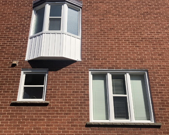 White vinyl windows